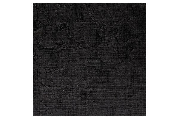 Winton oil 37ml ivory black 331